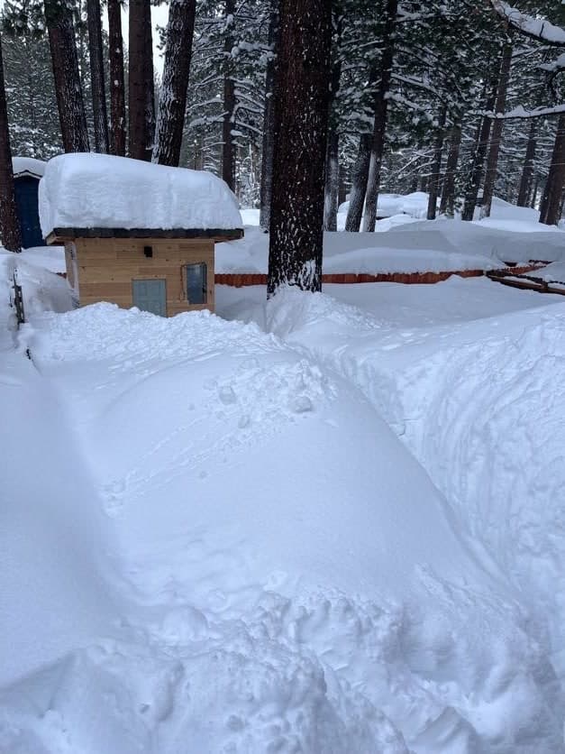 Three-tier cedar bench layout inside the original Tahoe Sauna Company sauna