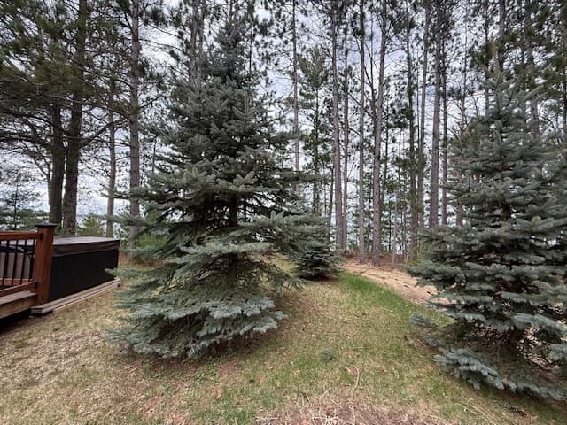 8x12 sauna changing room entry – Wisconsin lakeside cabin
